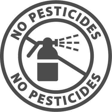 no-pesticides-lrdc